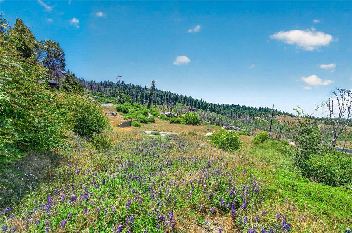 39588 Woodland Rd, Shaver Lake, CA 93664