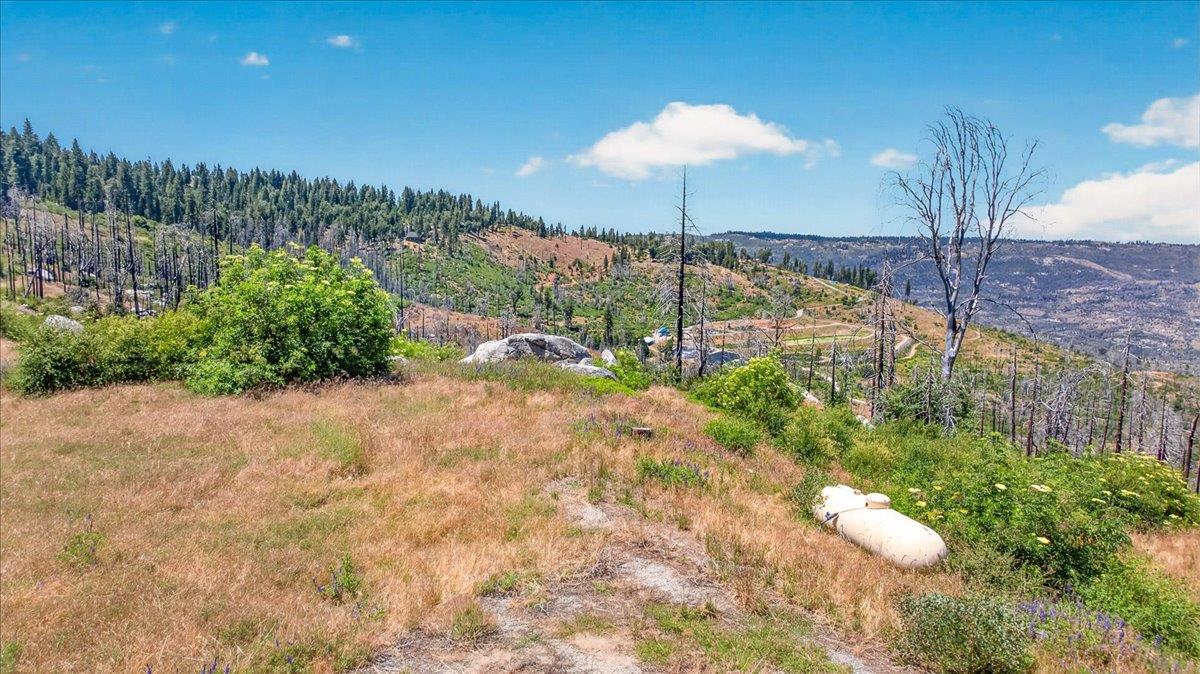 39588 Woodland Rd, Shaver Lake, CA 93664