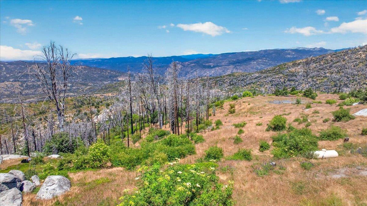 39588 Woodland Rd, Shaver Lake, CA 93664