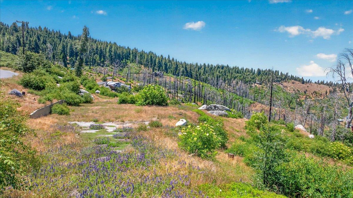 39588 Woodland Rd, Shaver Lake, CA 93664