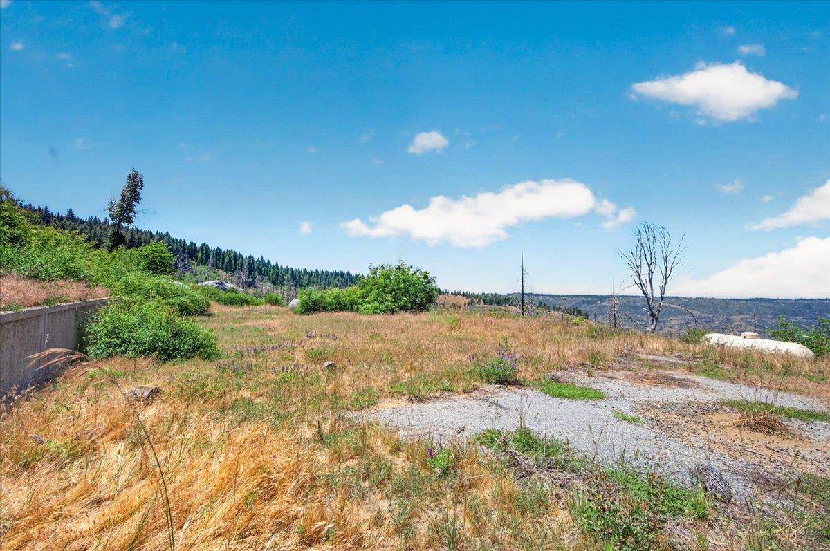 39588 Woodland Rd, Shaver Lake, CA 93664