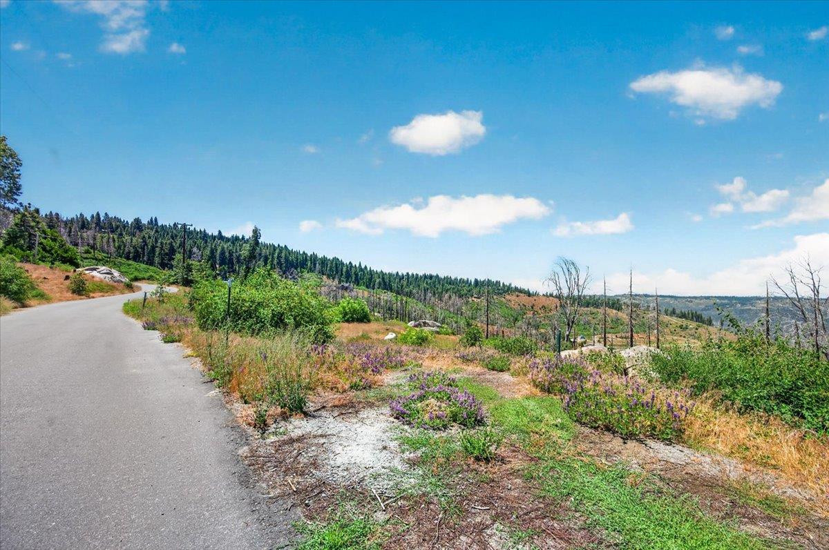 39588 Woodland Rd, Shaver Lake, CA 93664