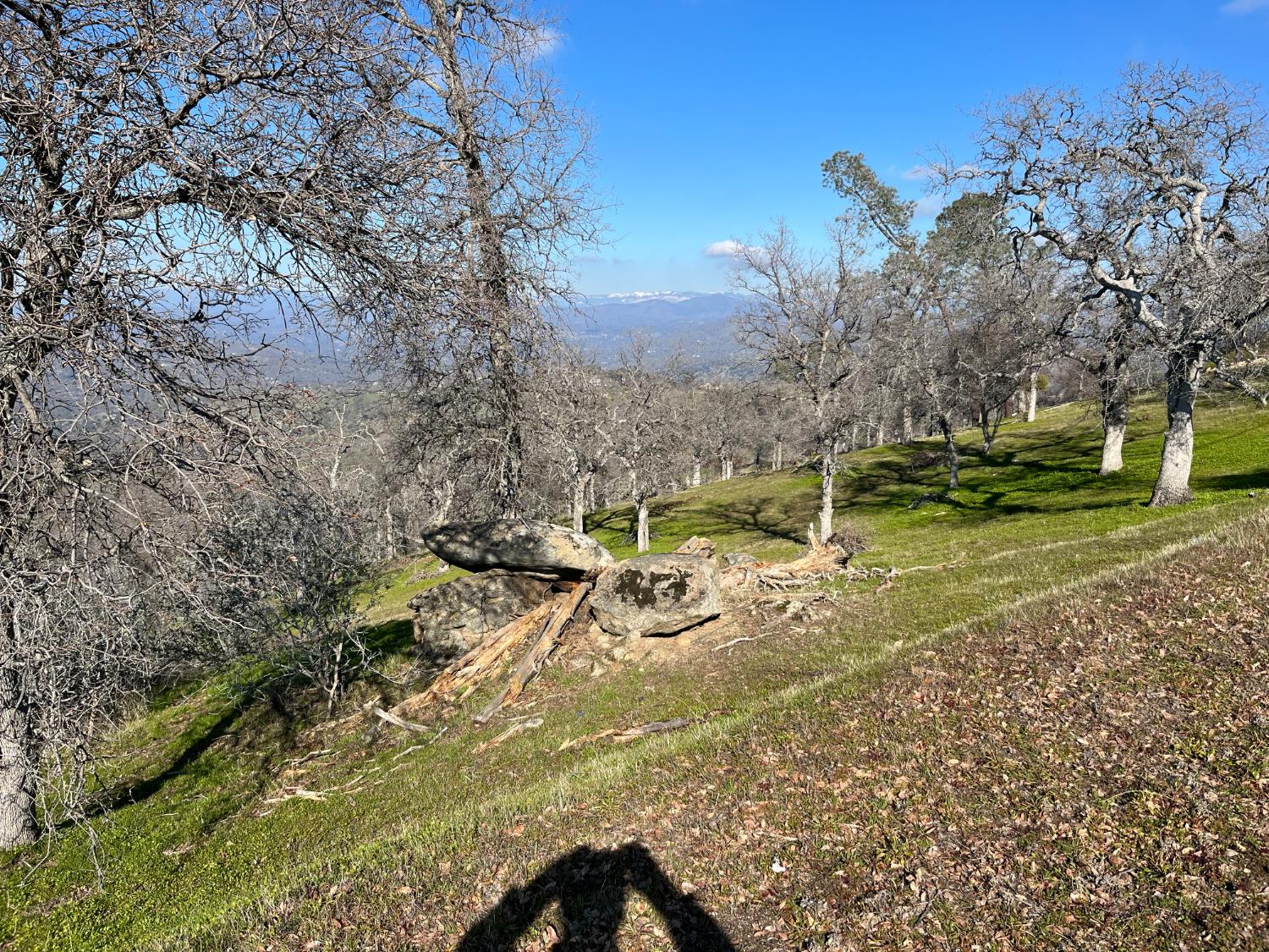 41173 Lilley Mountain Dr, Coarsegold, CA 93614