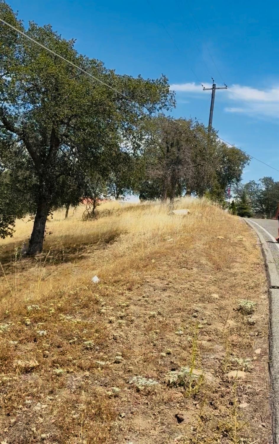 41173 Lilley Mountain Dr, Coarsegold, CA 93614
