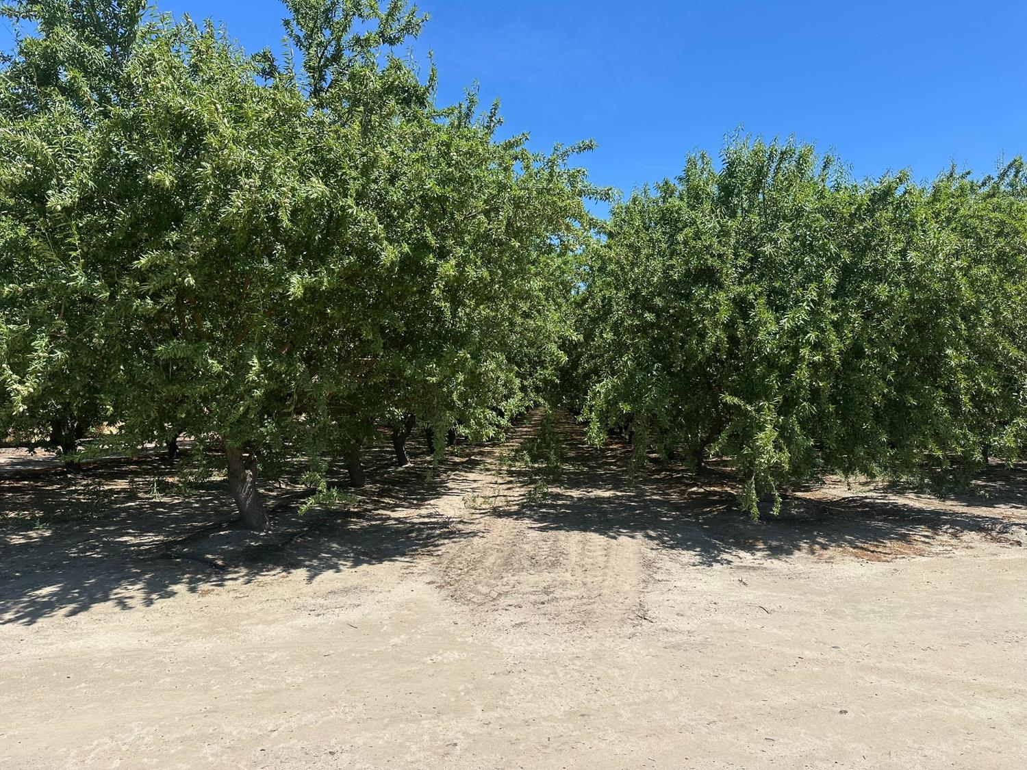 1 S. Chestnut & E. Mountain View, Selma, CA 93662