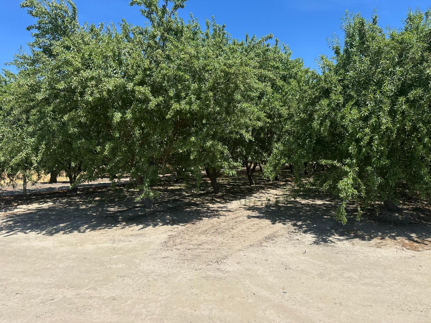1 S. Chestnut & E. Mountain View, Selma, CA 93662