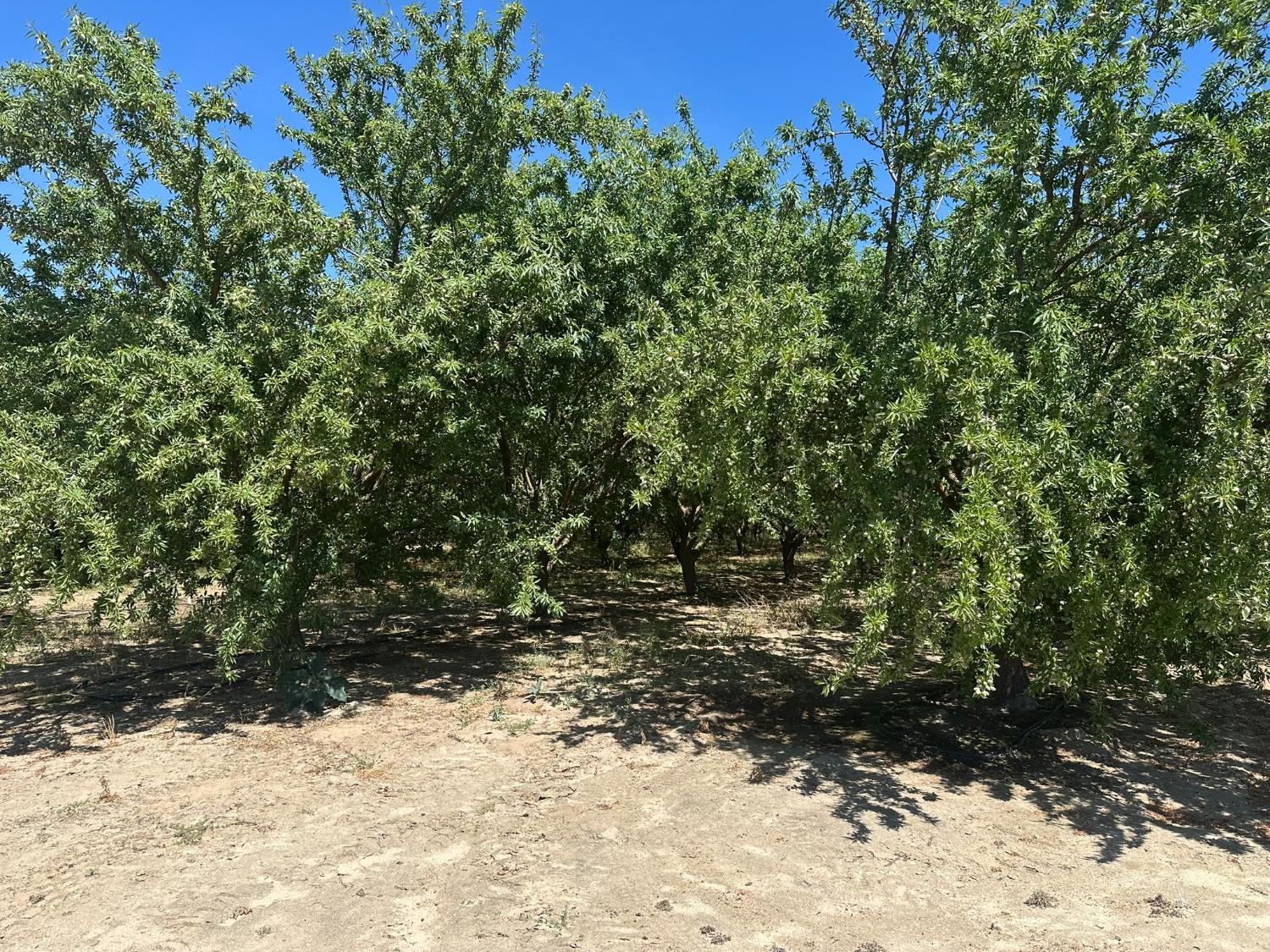 1 S. Chestnut & E. Mountain View, Selma, CA 93662