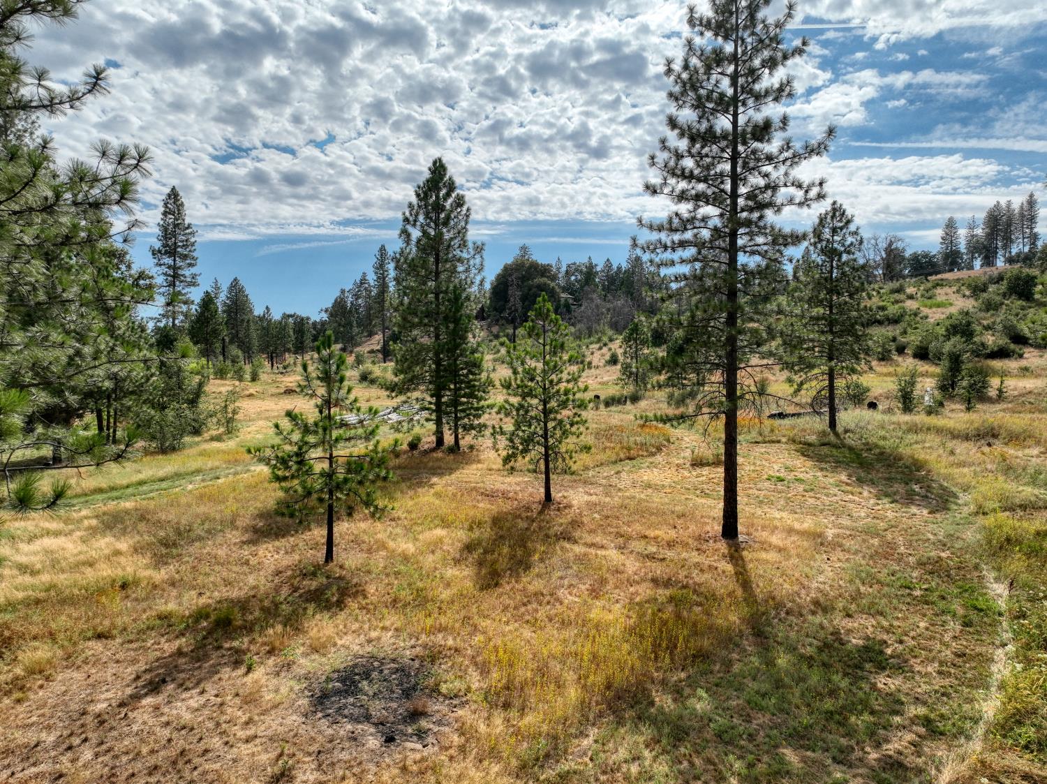 34344 Shaver Springs Rd, Auberry, CA 93602