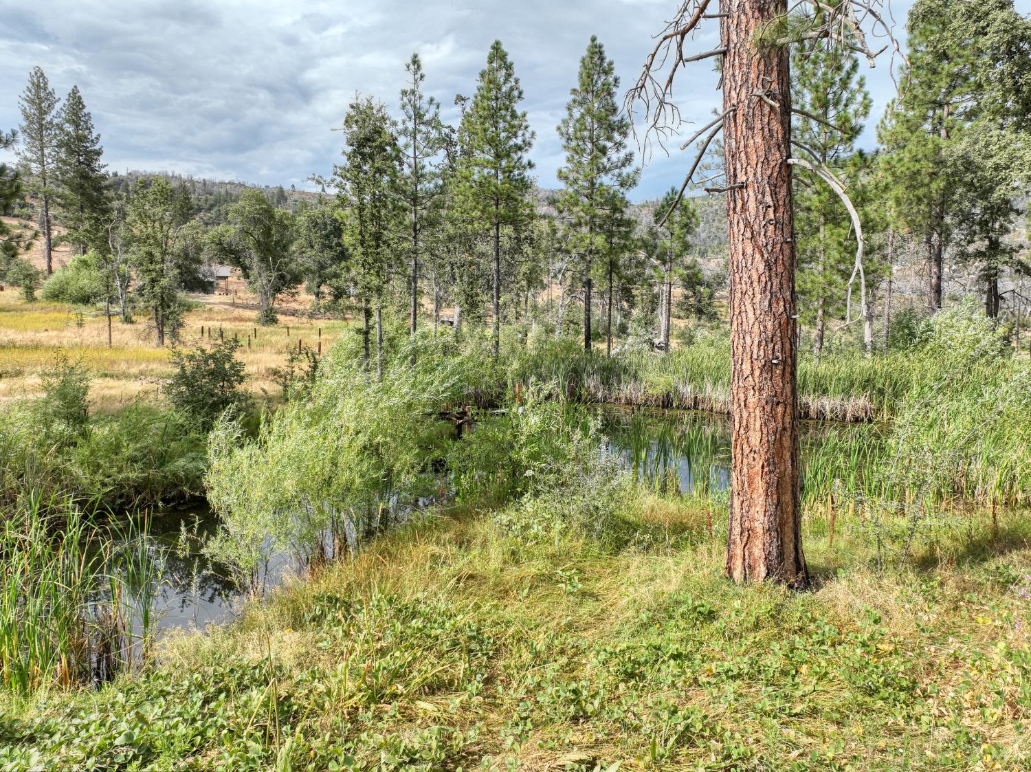34344 Shaver Springs Rd, Auberry, CA 93602
