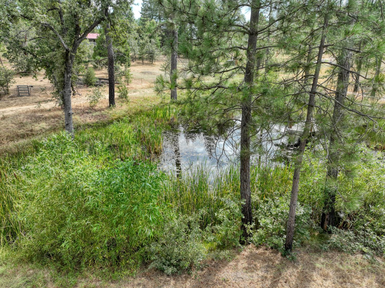 34344 Shaver Springs Rd, Auberry, CA 93602