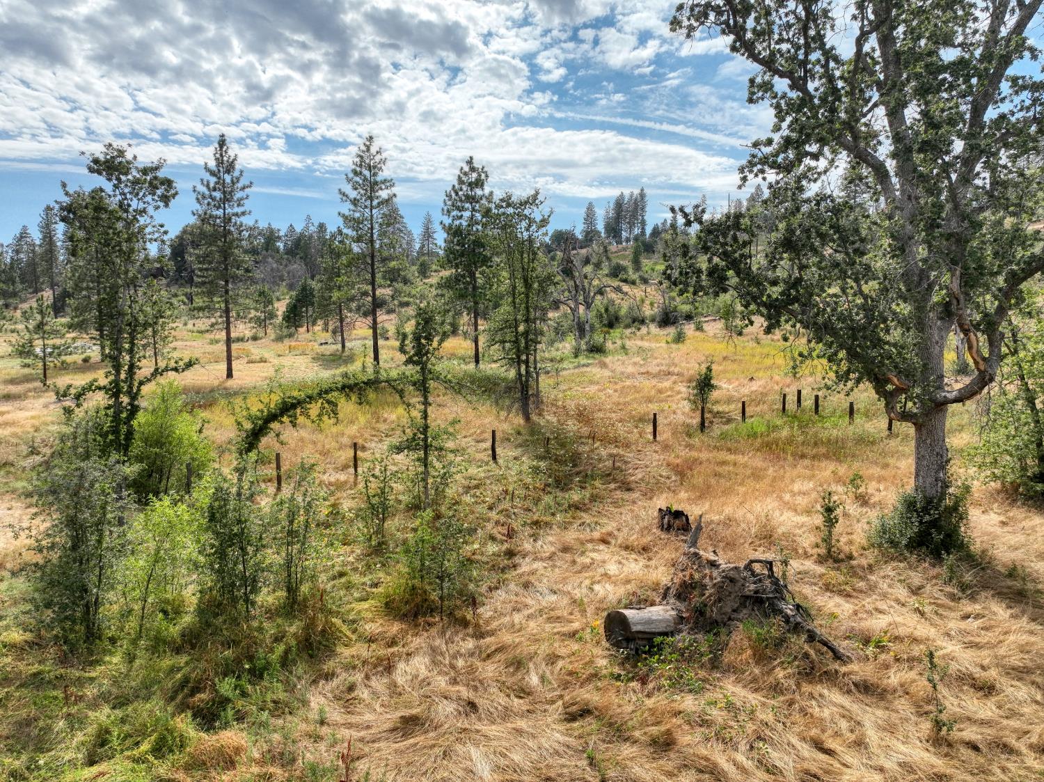 34344 Shaver Springs Rd, Auberry, CA 93602