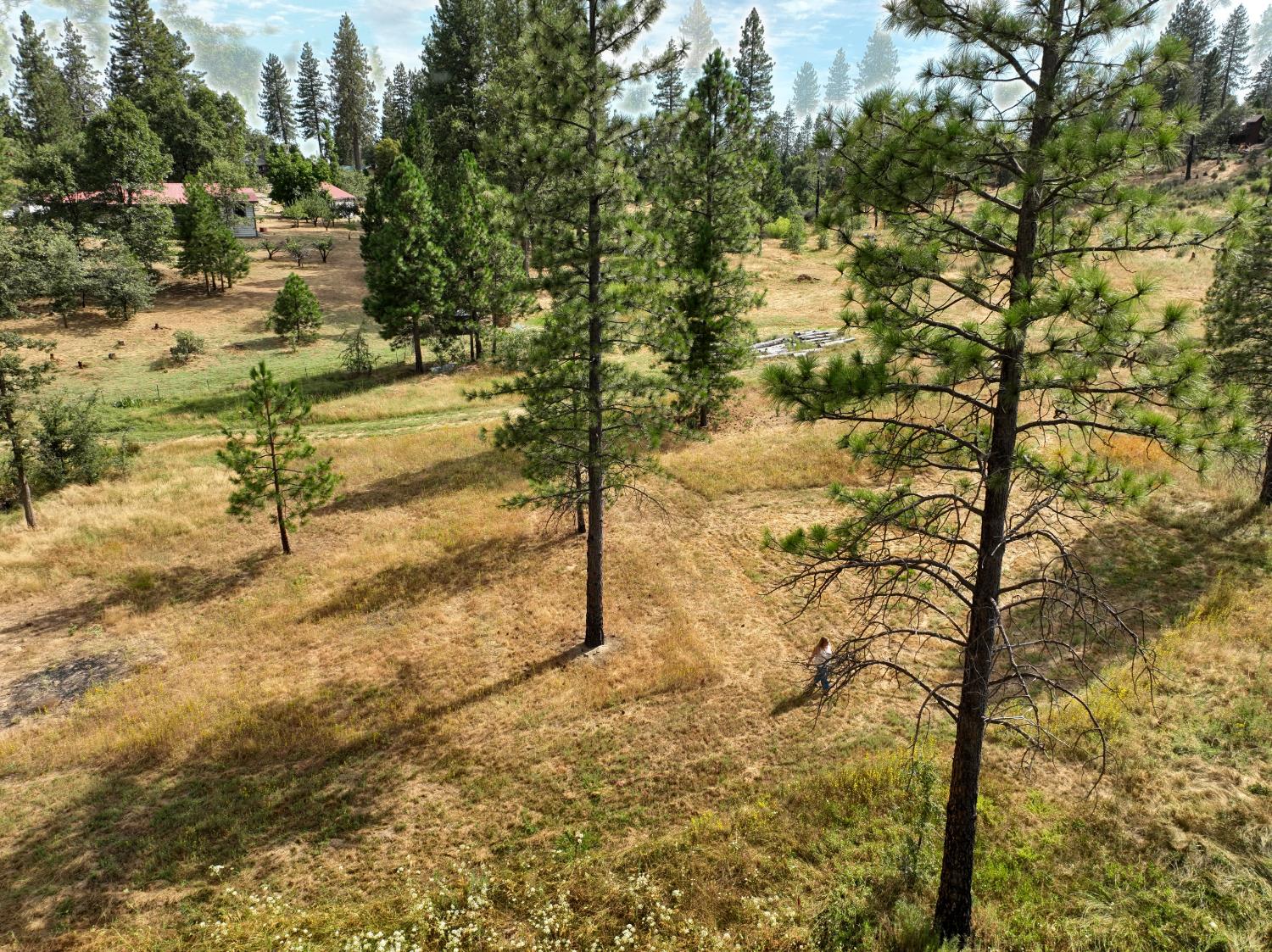 34344 Shaver Springs Rd, Auberry, CA 93602