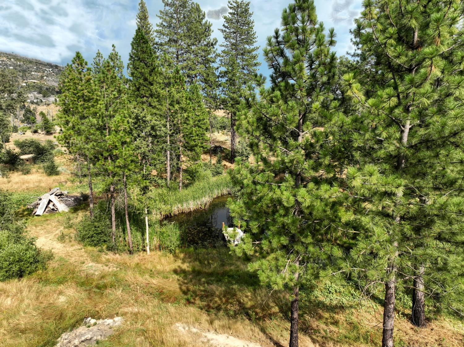 34344 Shaver Springs Rd, Auberry, CA 93602