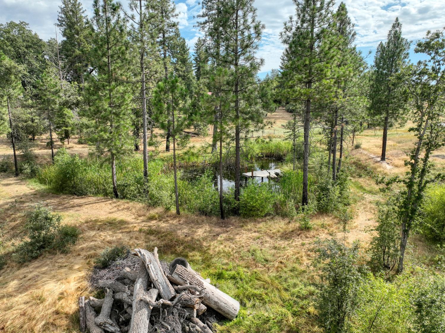 34344 Shaver Springs Rd, Auberry, CA 93602