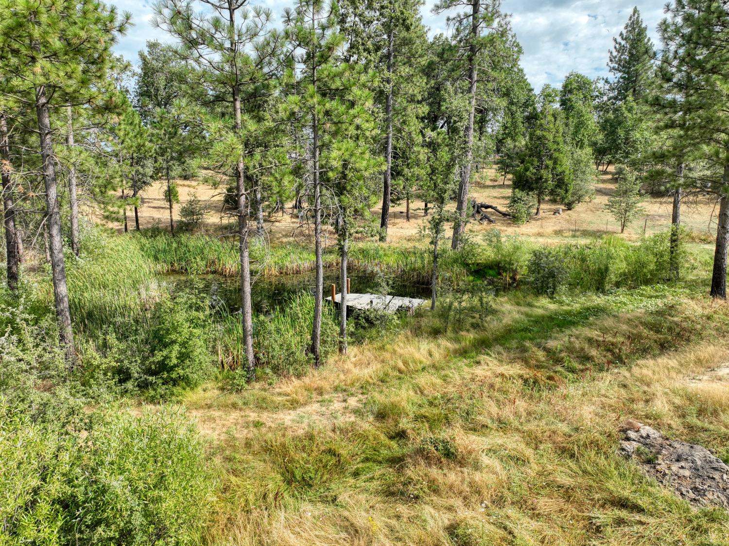 34344 Shaver Springs Rd, Auberry, CA 93602