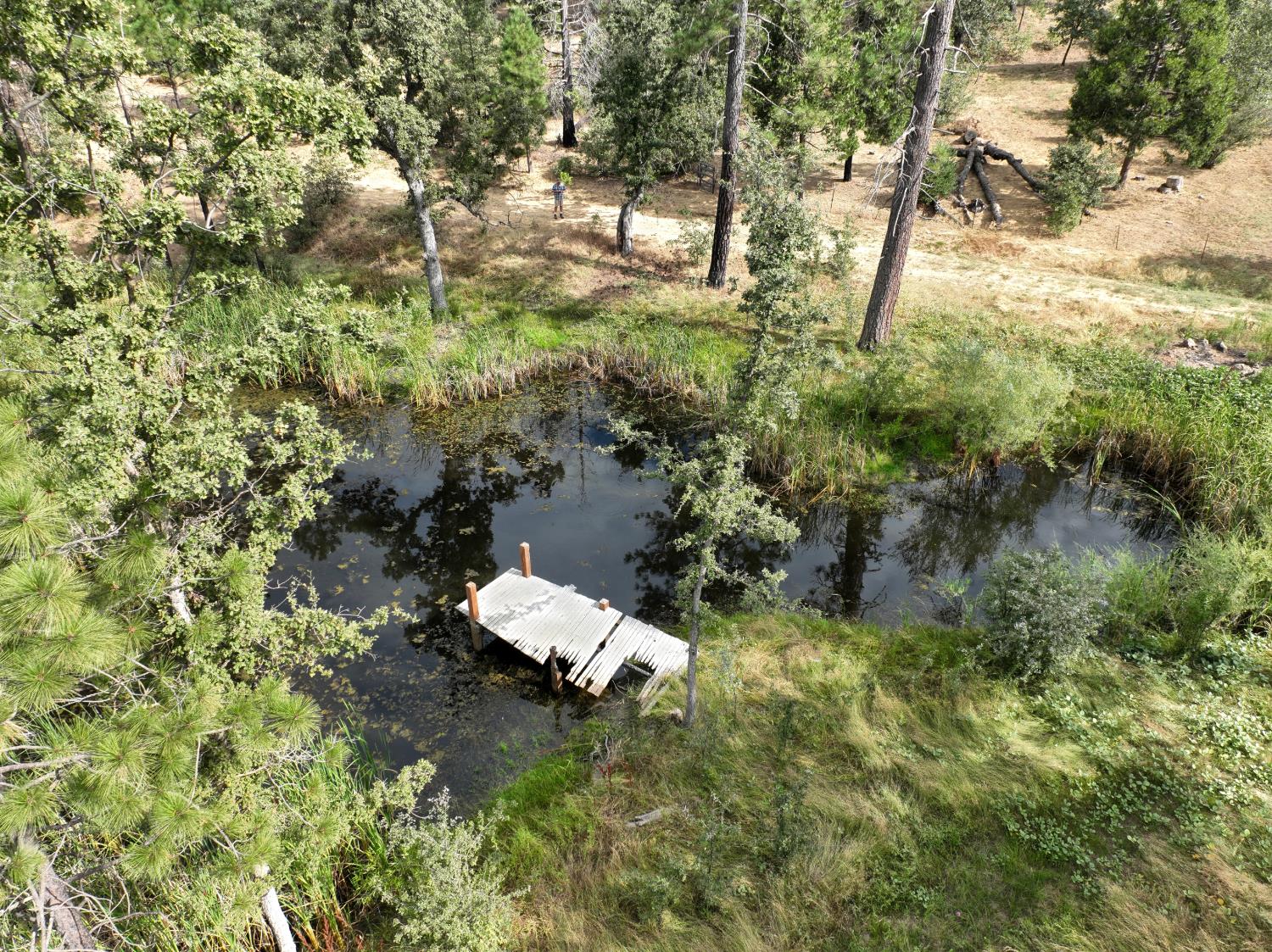 34344 Shaver Springs Rd, Auberry, CA 93602