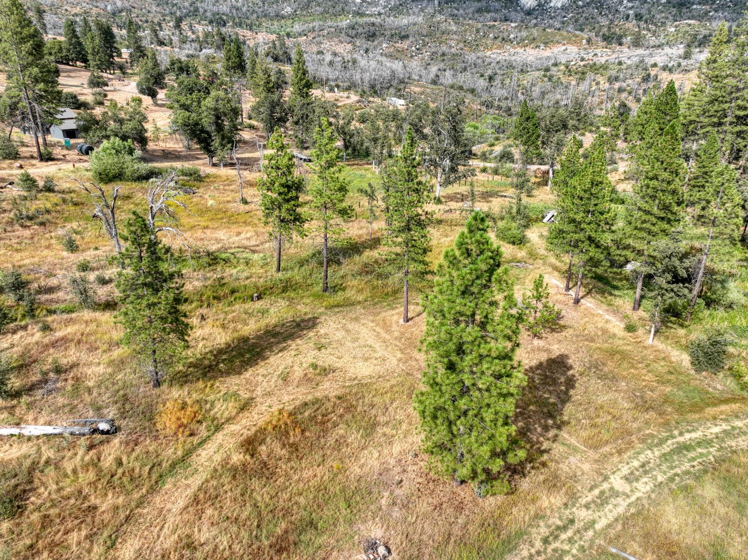 34344 Shaver Springs Rd, Auberry, CA 93602