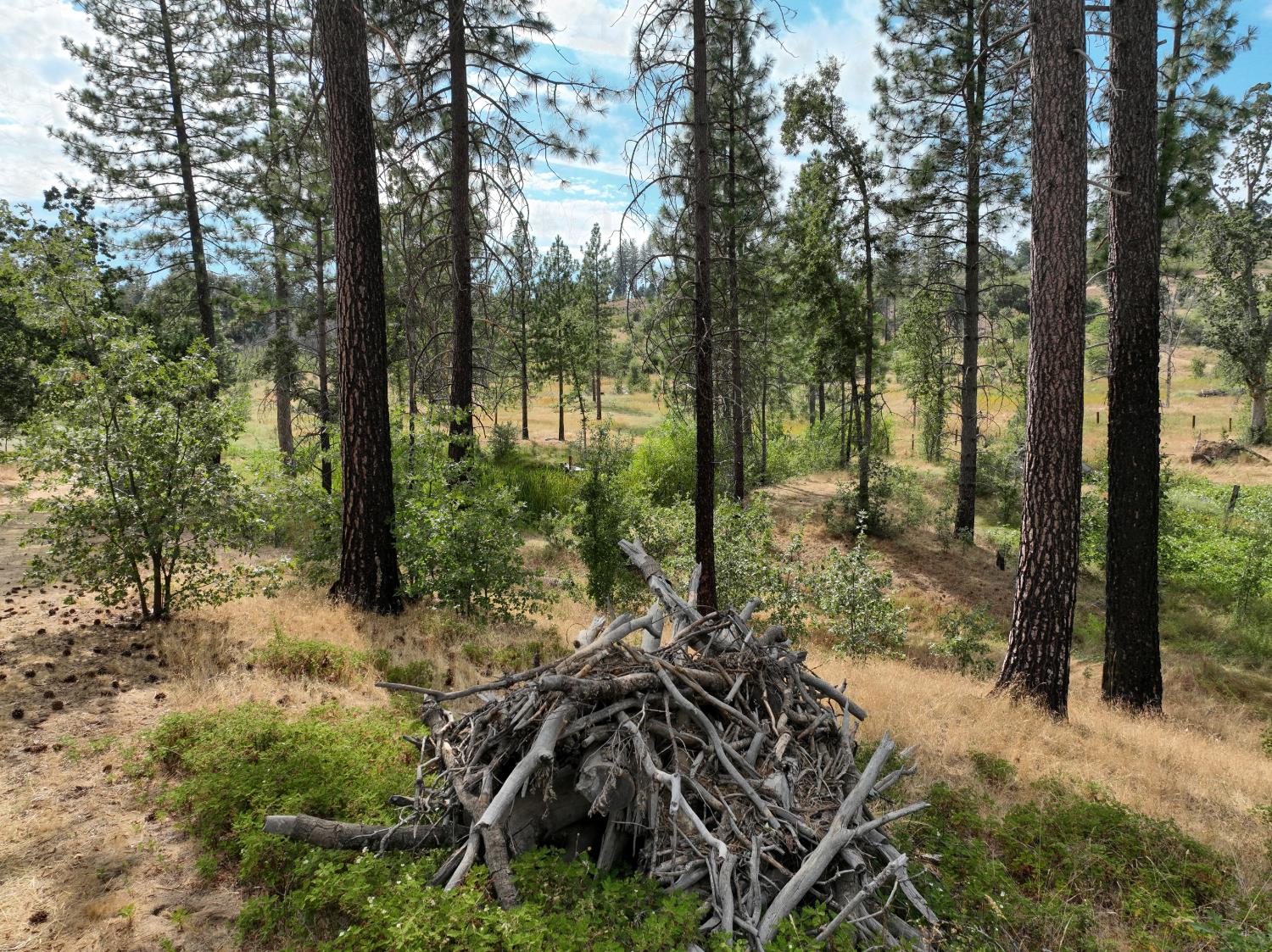 34344 Shaver Springs Rd, Auberry, CA 93602
