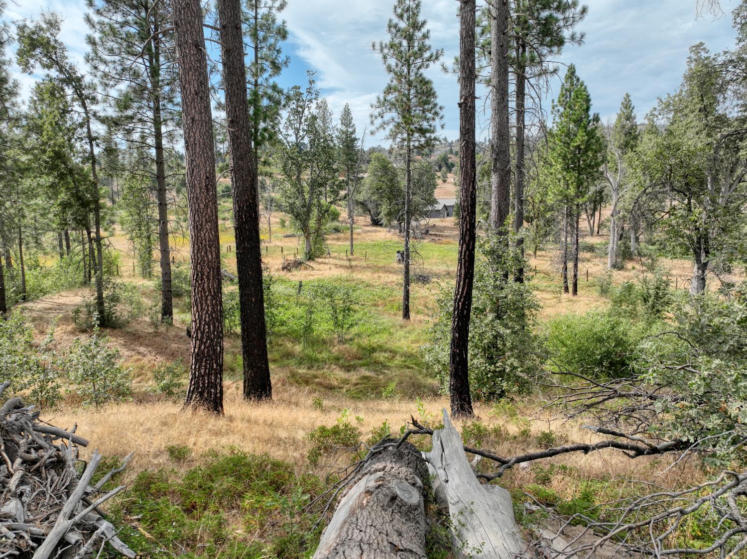 34344 Shaver Springs Rd, Auberry, CA 93602