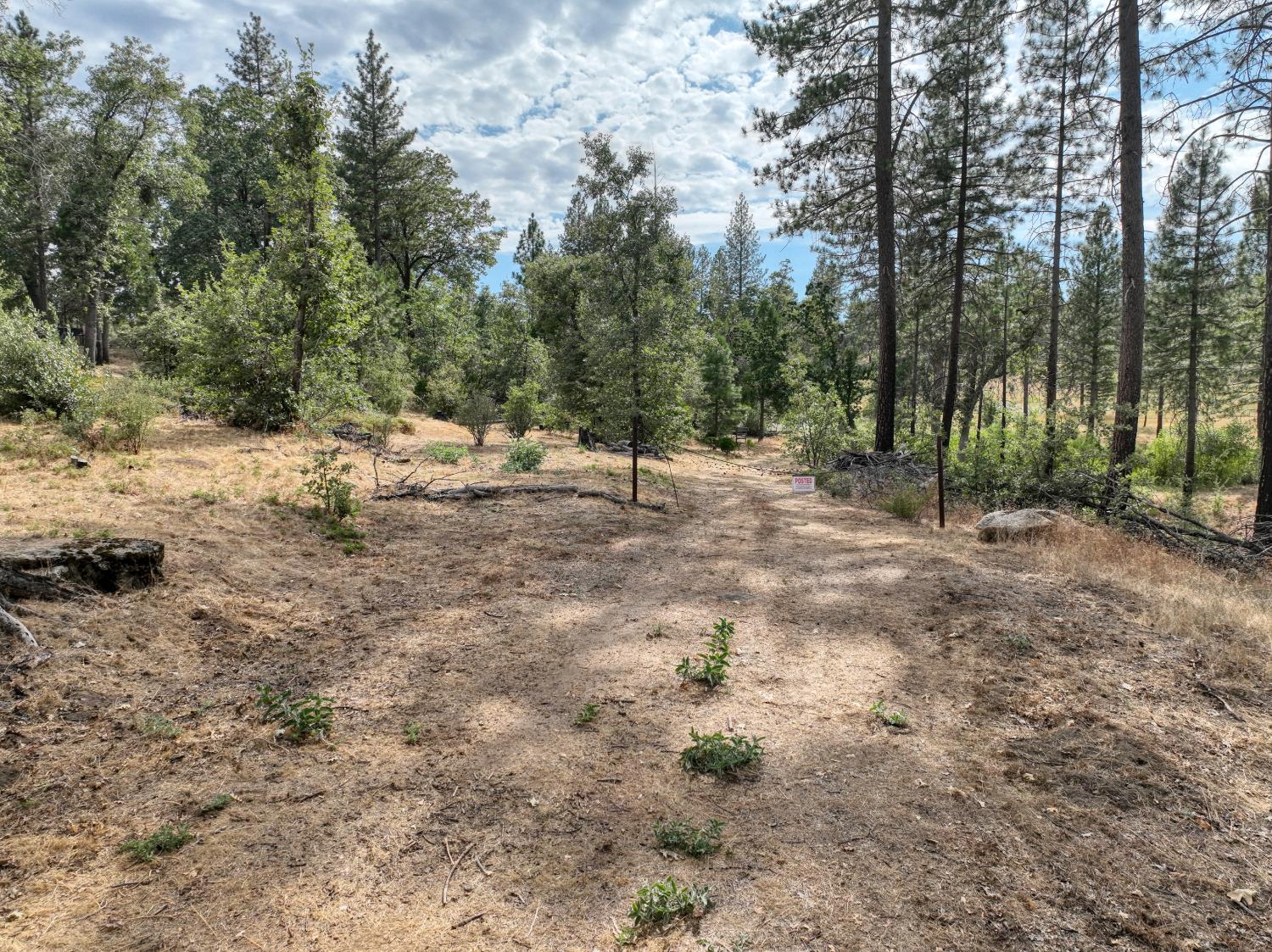 34344 Shaver Springs Rd, Auberry, CA 93602