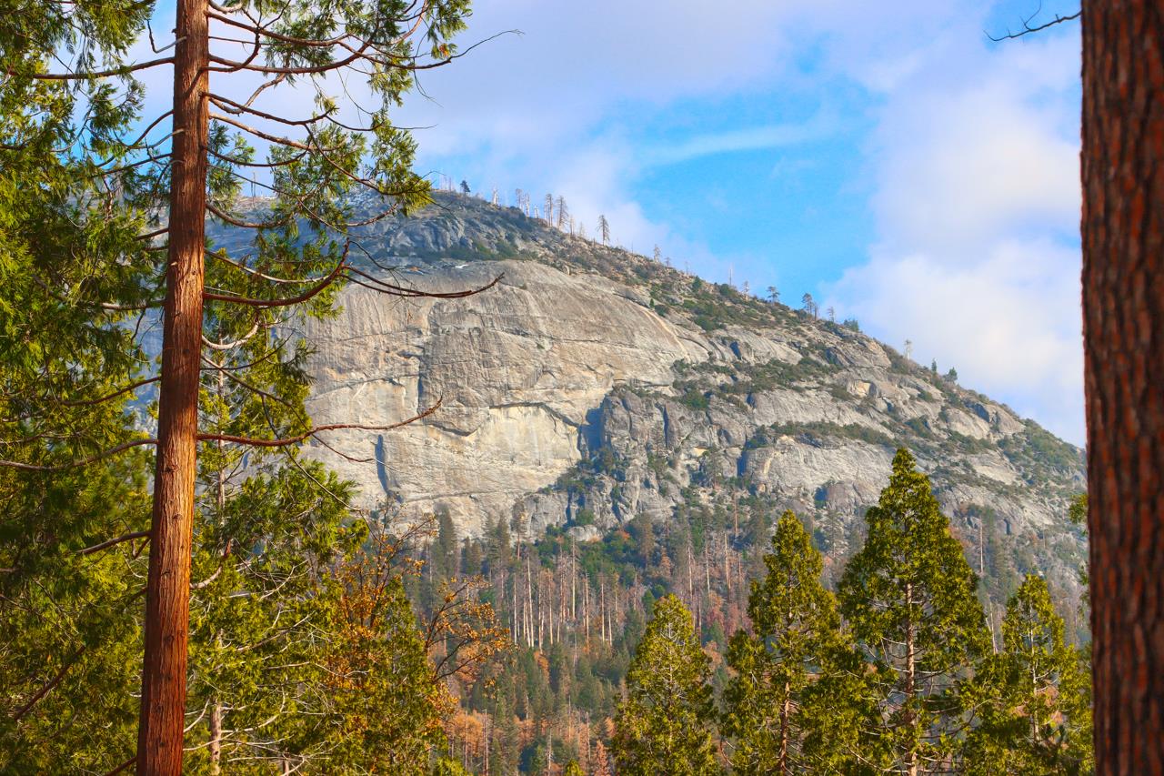 2629 Mariposa, Wawona, CA 95389