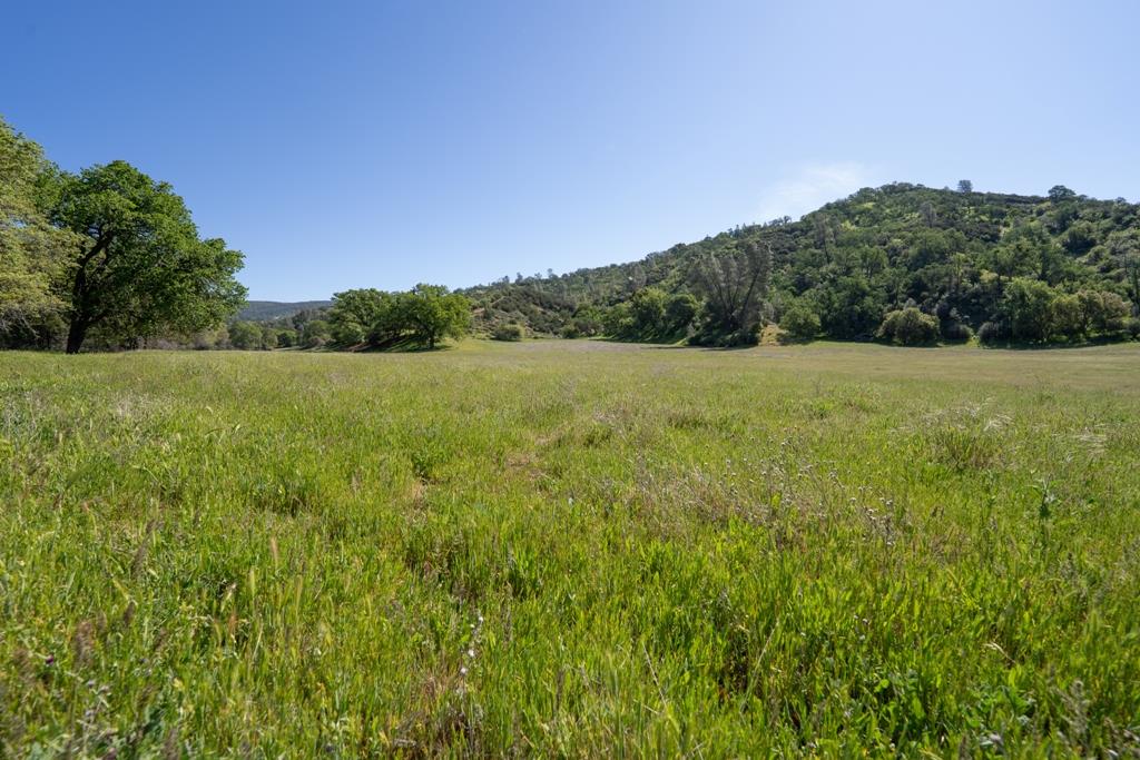 408901 N Fork Rd, Coalinga, CA 93210