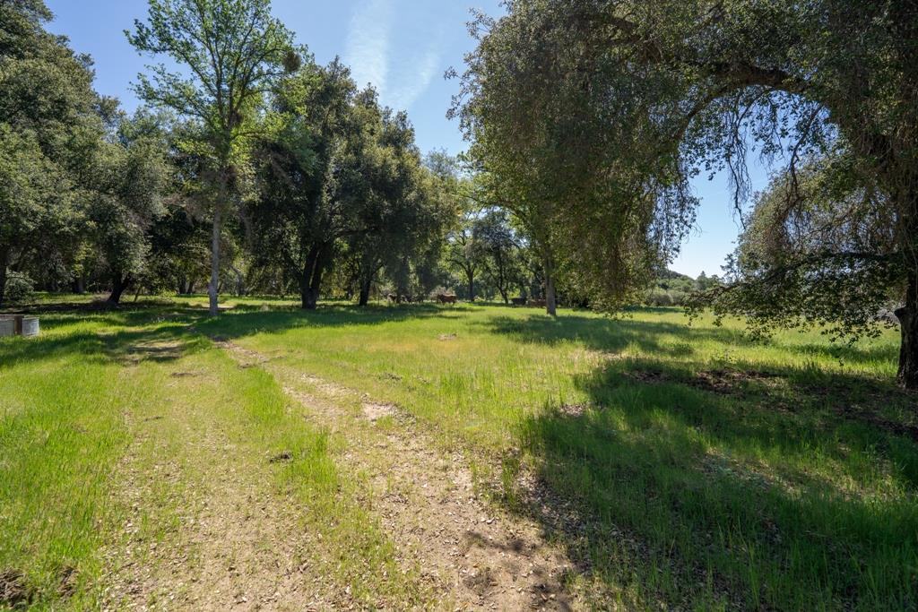 408901 N Fork Rd, Coalinga, CA 93210