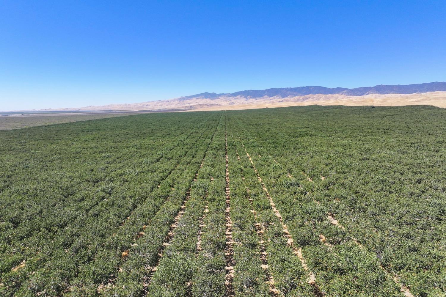 0 0 Derrick Ave, Cantua Creek, CA 93608