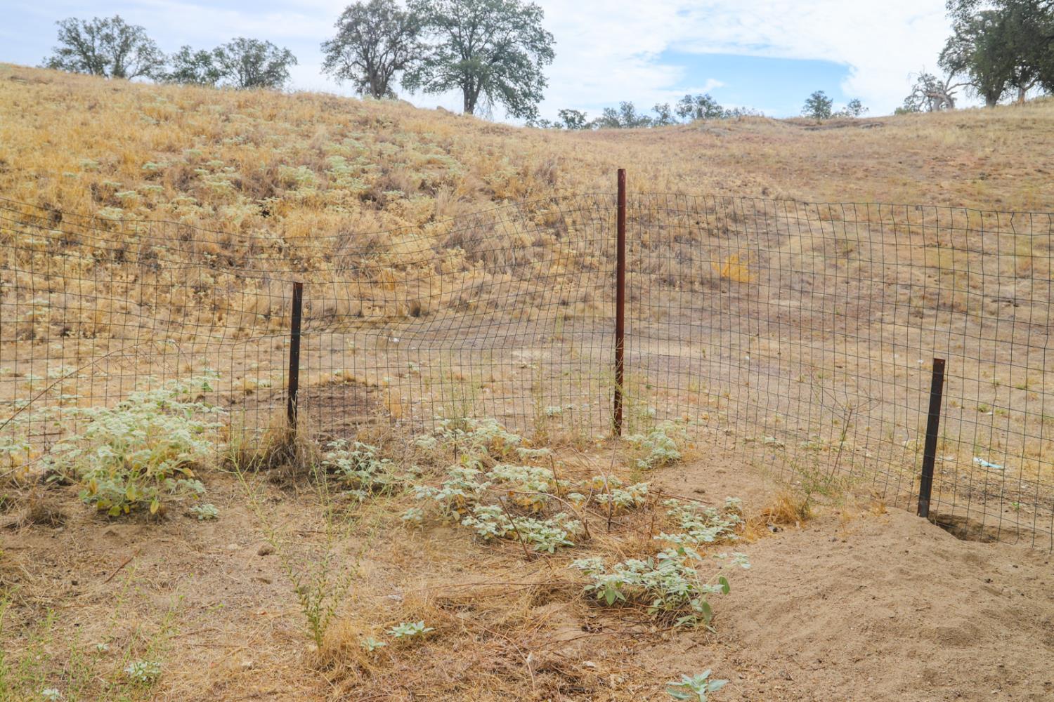 39503 S Lilley Way, Coarsegold, CA 93614