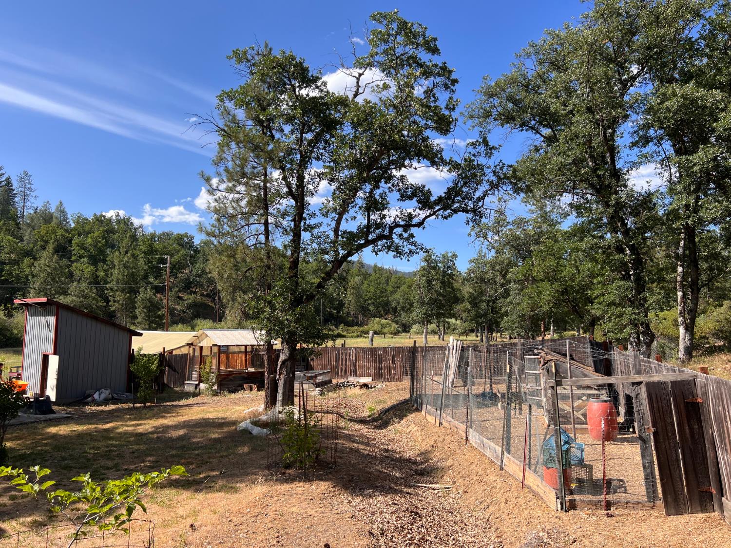 70 N Oak Ave, Hayfork, CA 96041