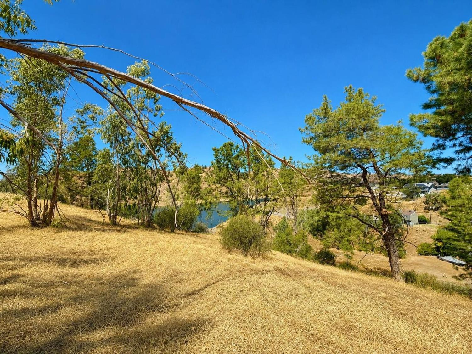 28090 Sky Harbour Rd, Friant, CA 93626
