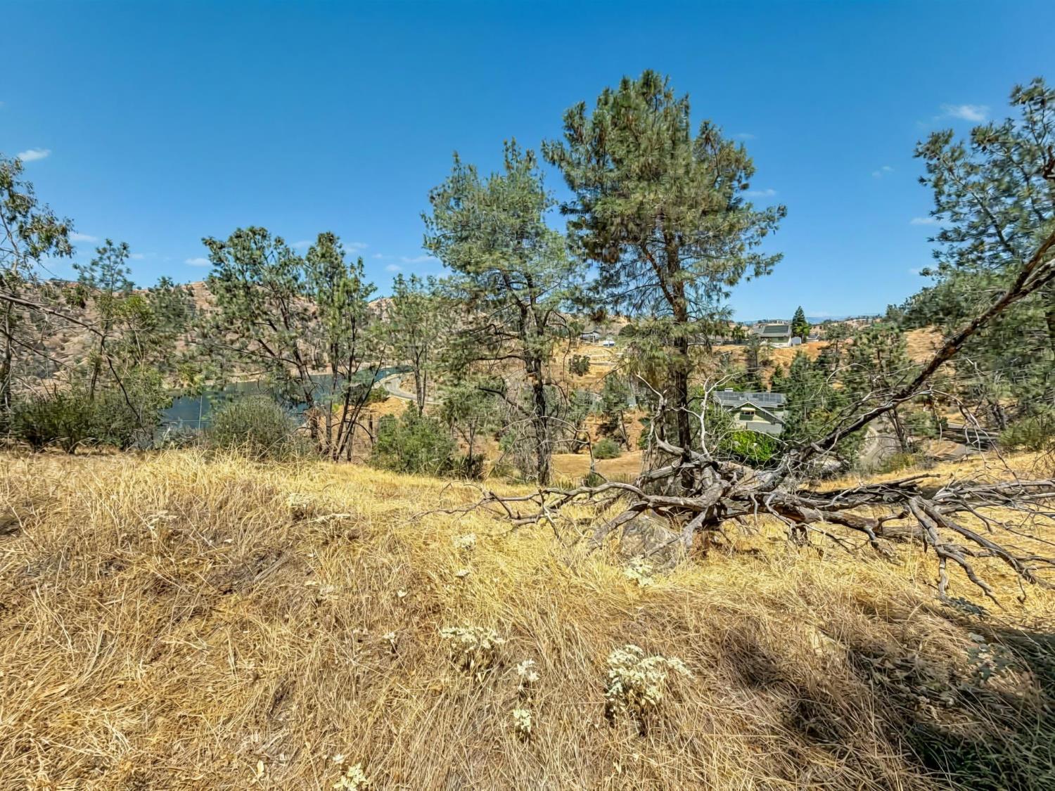 28090 Sky Harbour Rd, Friant, CA 93626