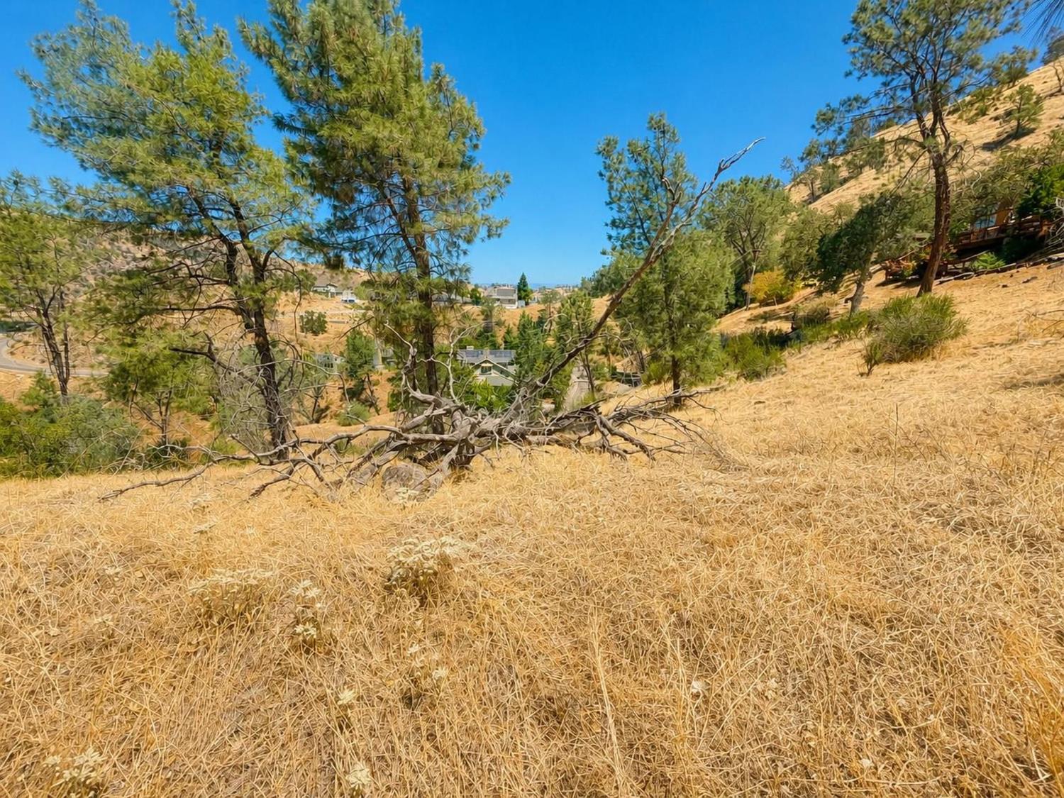28090 Sky Harbour Rd, Friant, CA 93626