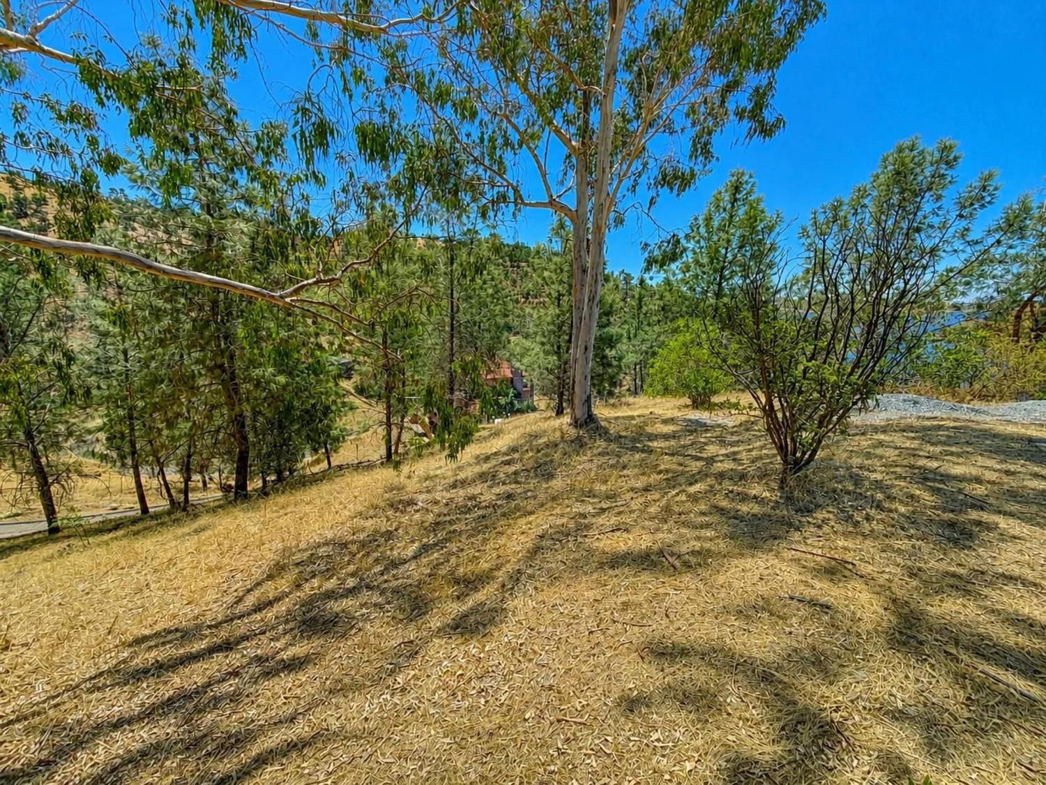 27990 Sky Harbour Rd, Friant, CA 93626