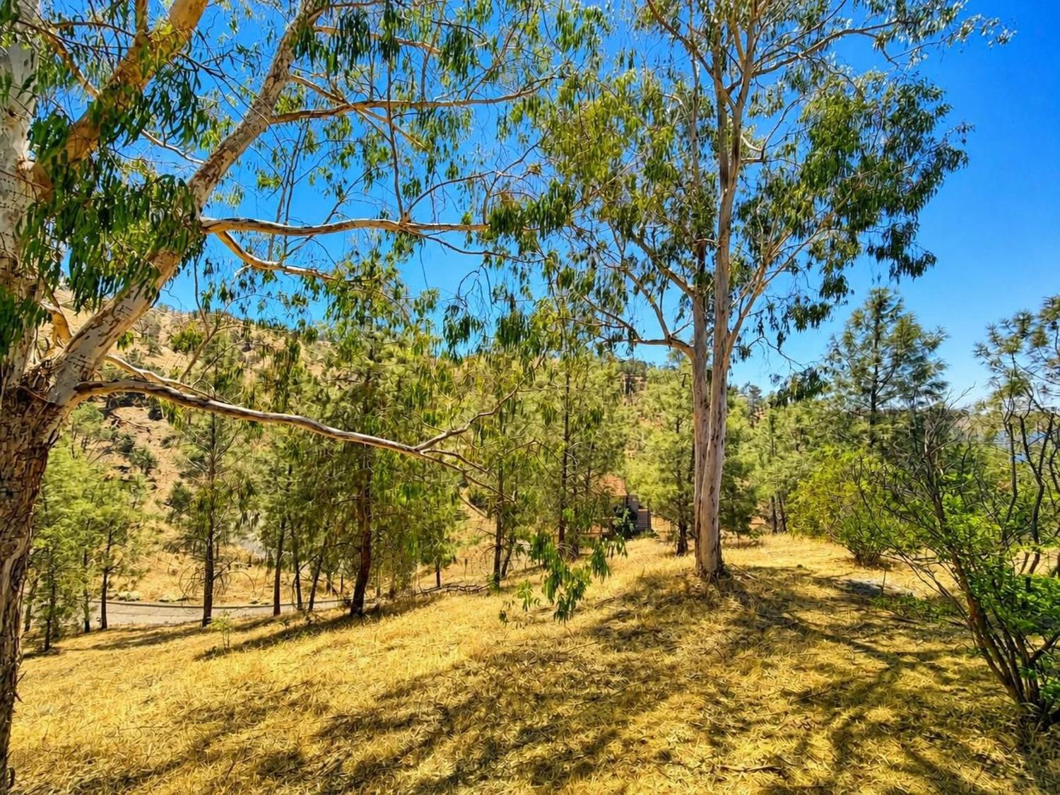 27990 Sky Harbour Rd, Friant, CA 93626