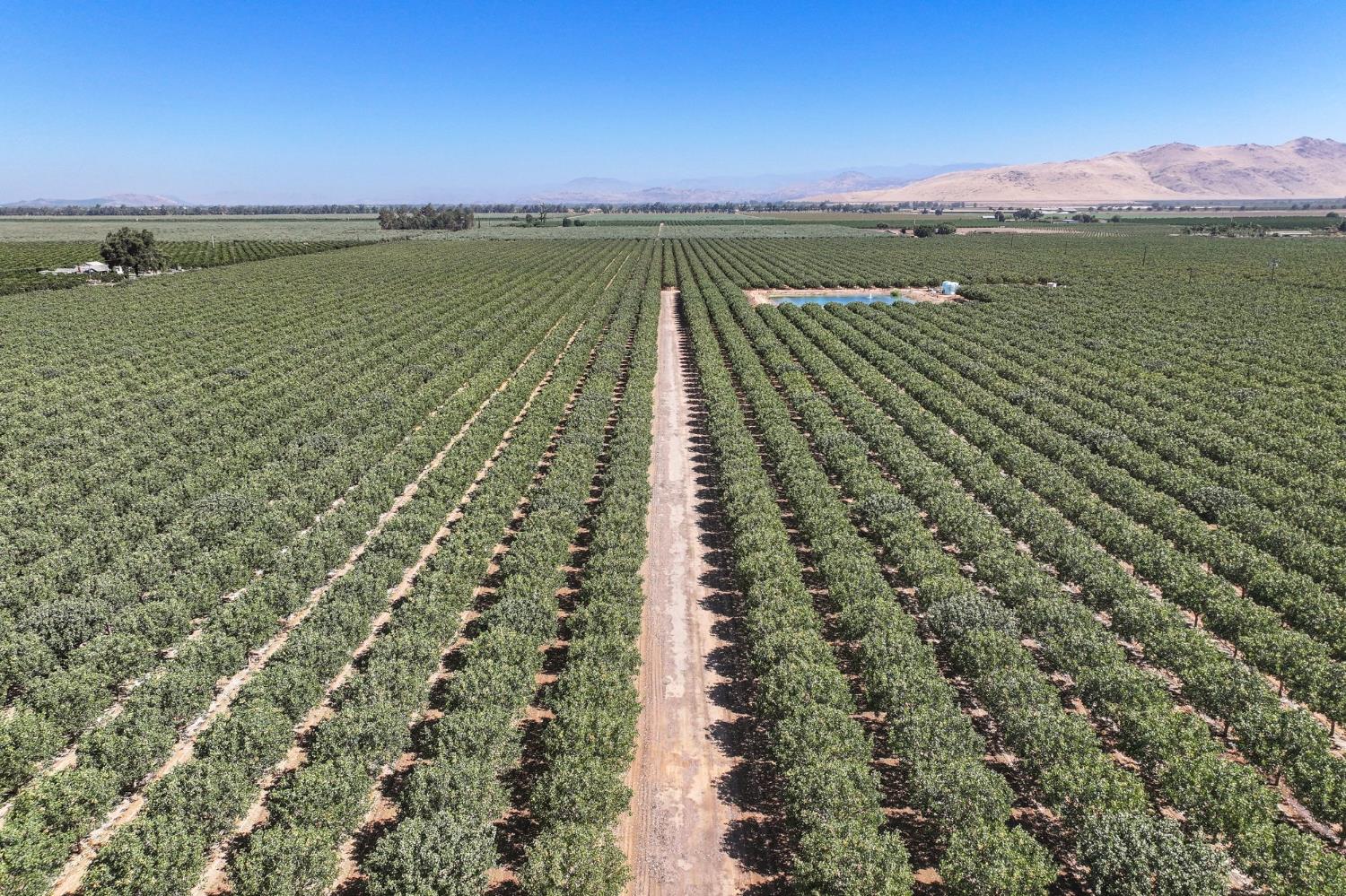 14464 Ave. 360, Visalia, CA 93292