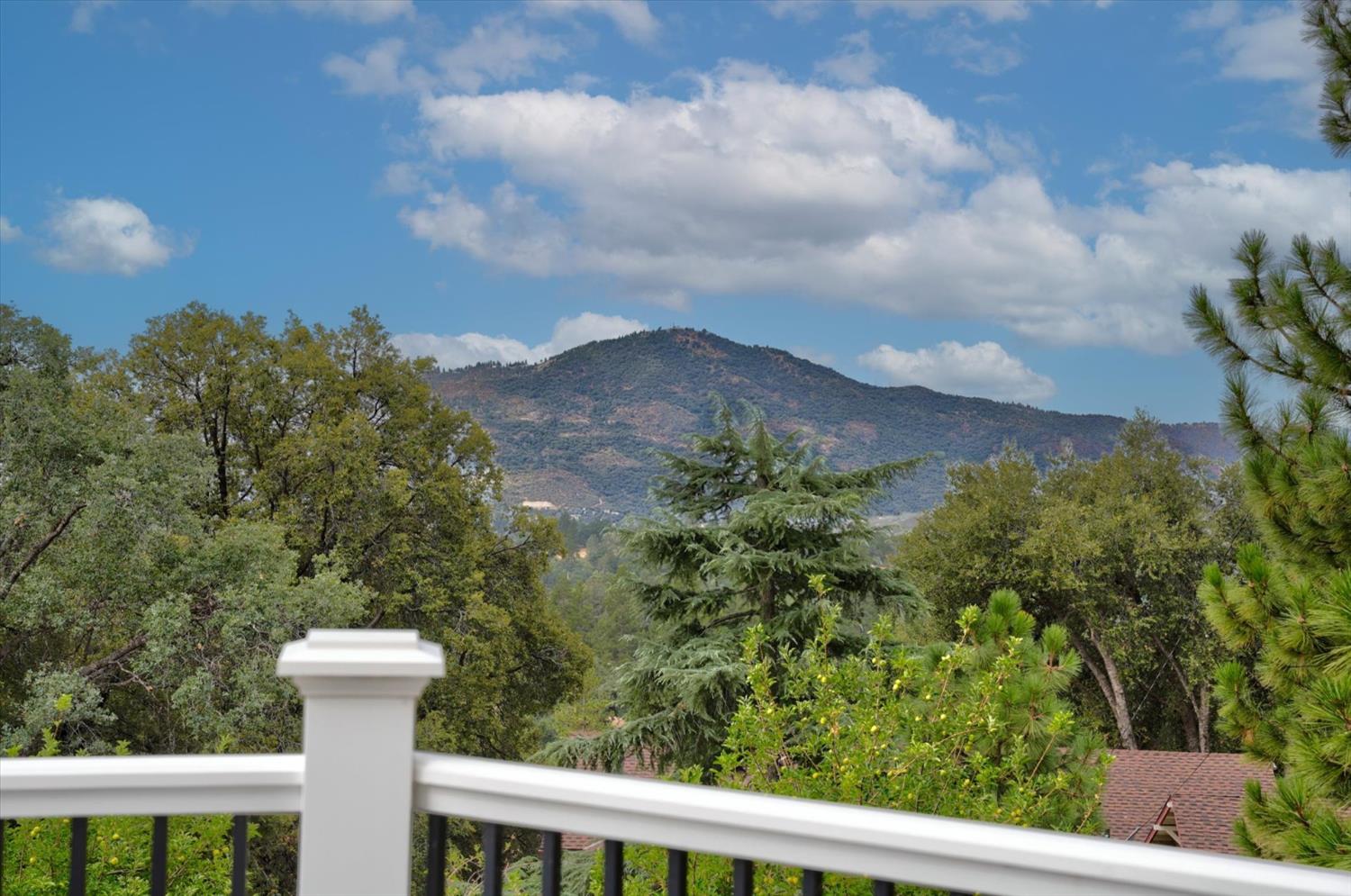 51291 Buckskin Ln, Oakhurst, CA 93644