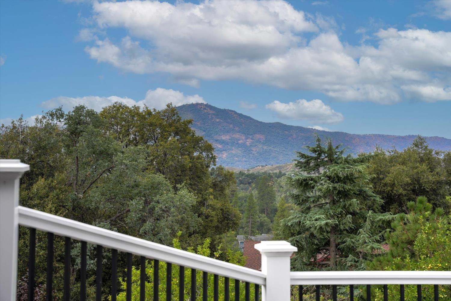 51291 Buckskin Ln, Oakhurst, CA 93644