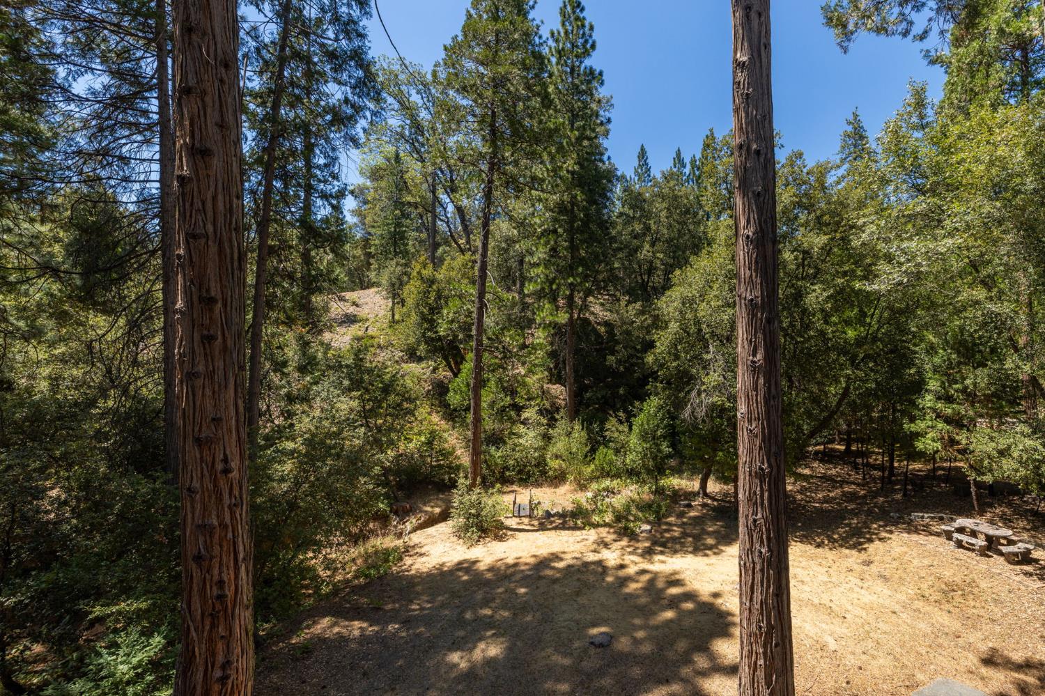 39964 N Cedar Vista Circle, Bass Lake, CA 93604
