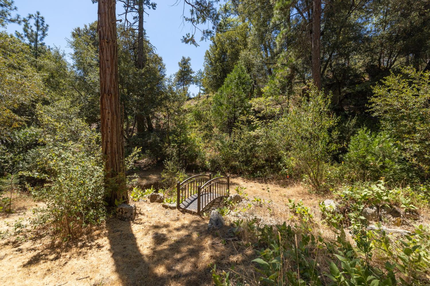 39964 N Cedar Vista Circle, Bass Lake, CA 93604