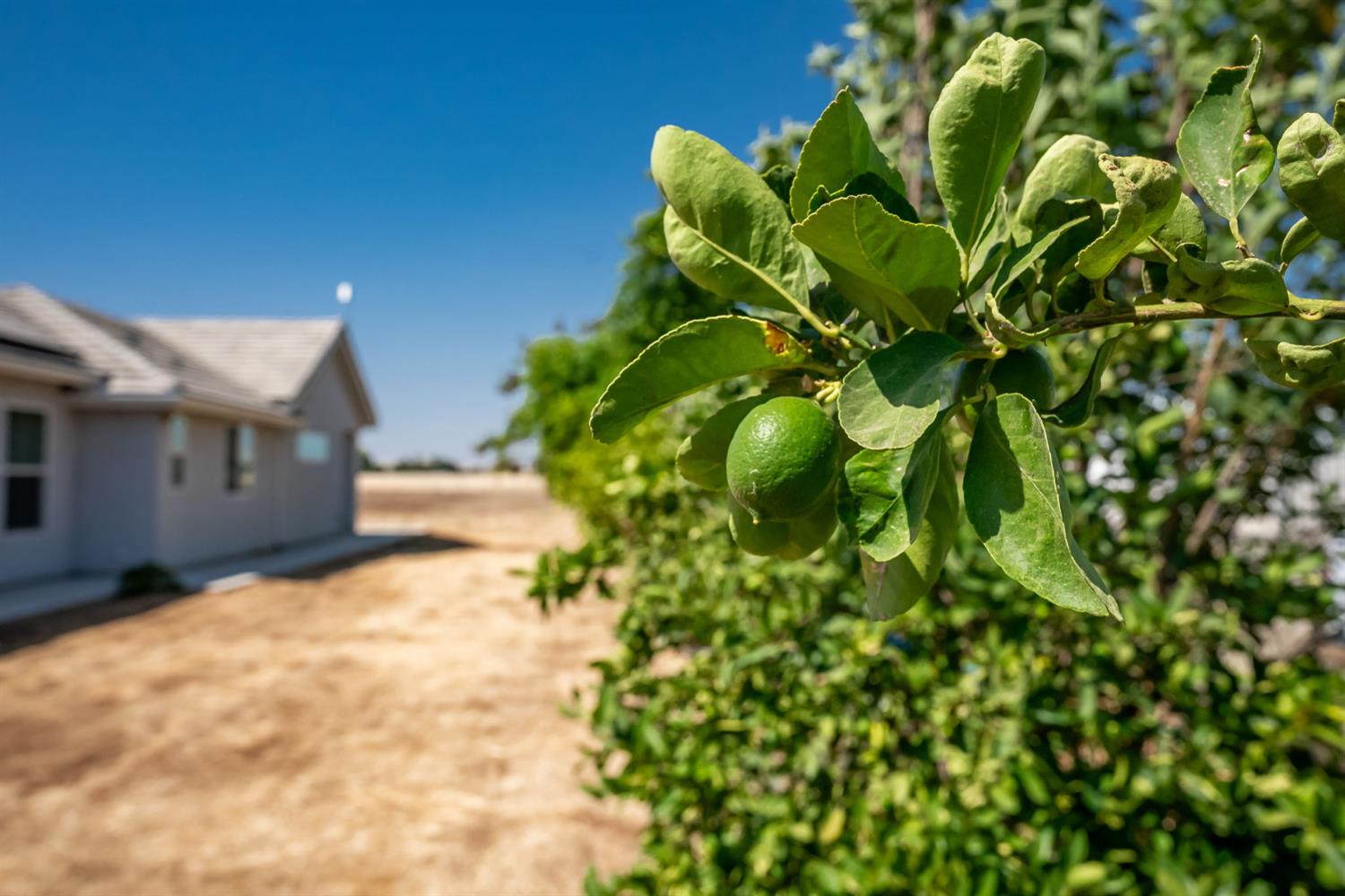13212 E Shaw Ave, Sanger, CA 93657