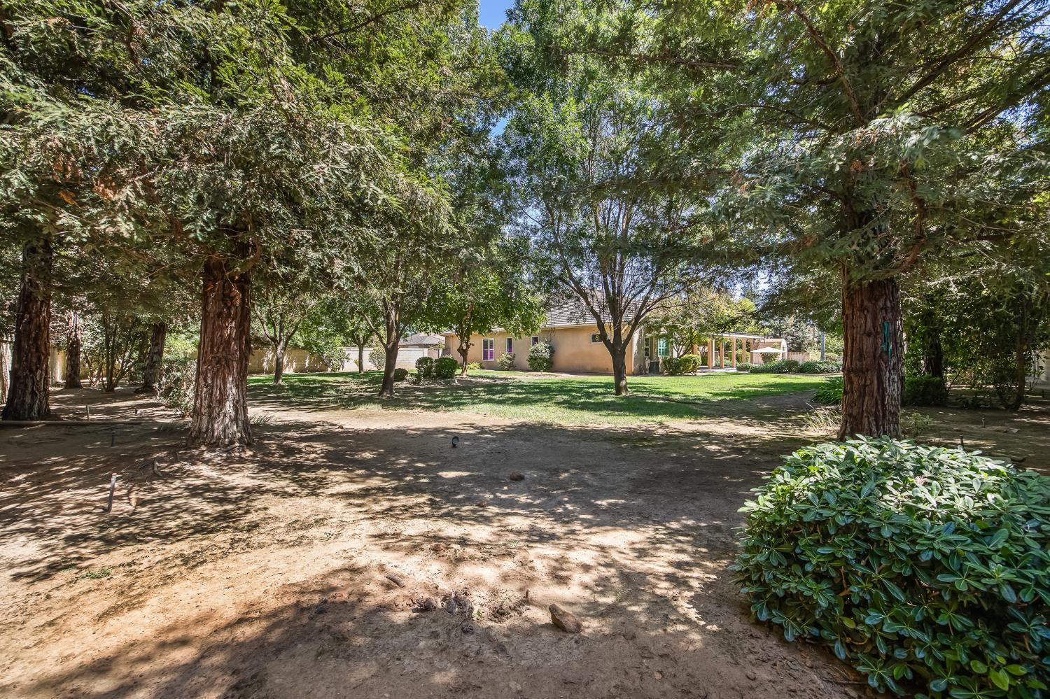 12636 Appaloosa Rd, Madera, CA 93636