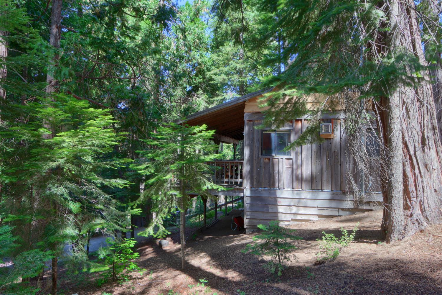 7771 WHITE CHIEF MOUNTAIN, Fish Camp, CA 93623