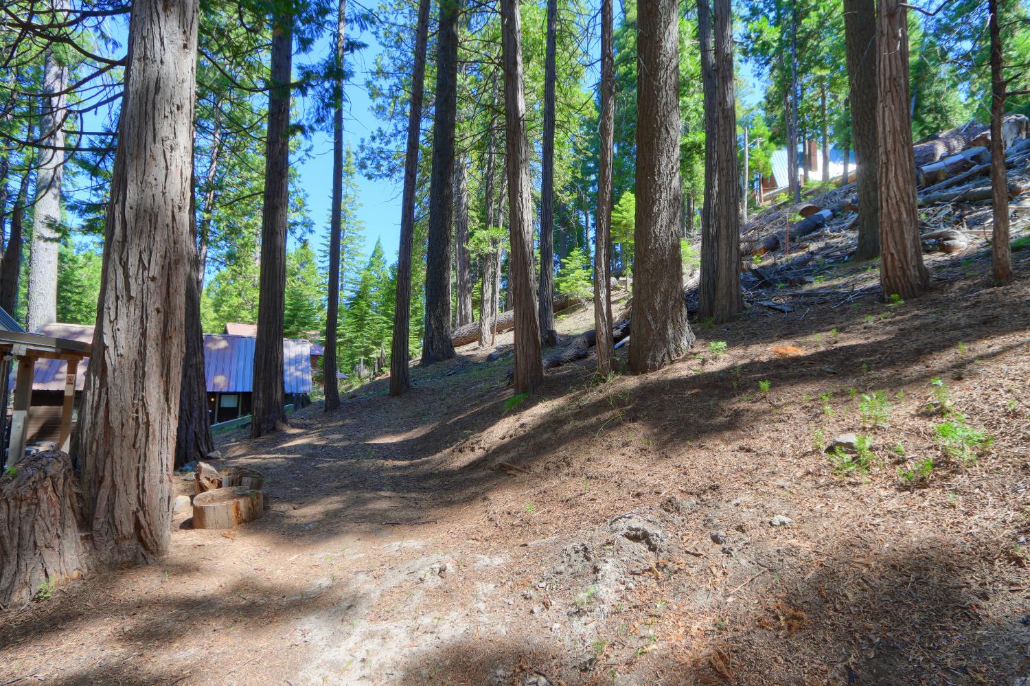 7771 WHITE CHIEF MOUNTAIN, Fish Camp, CA 93623