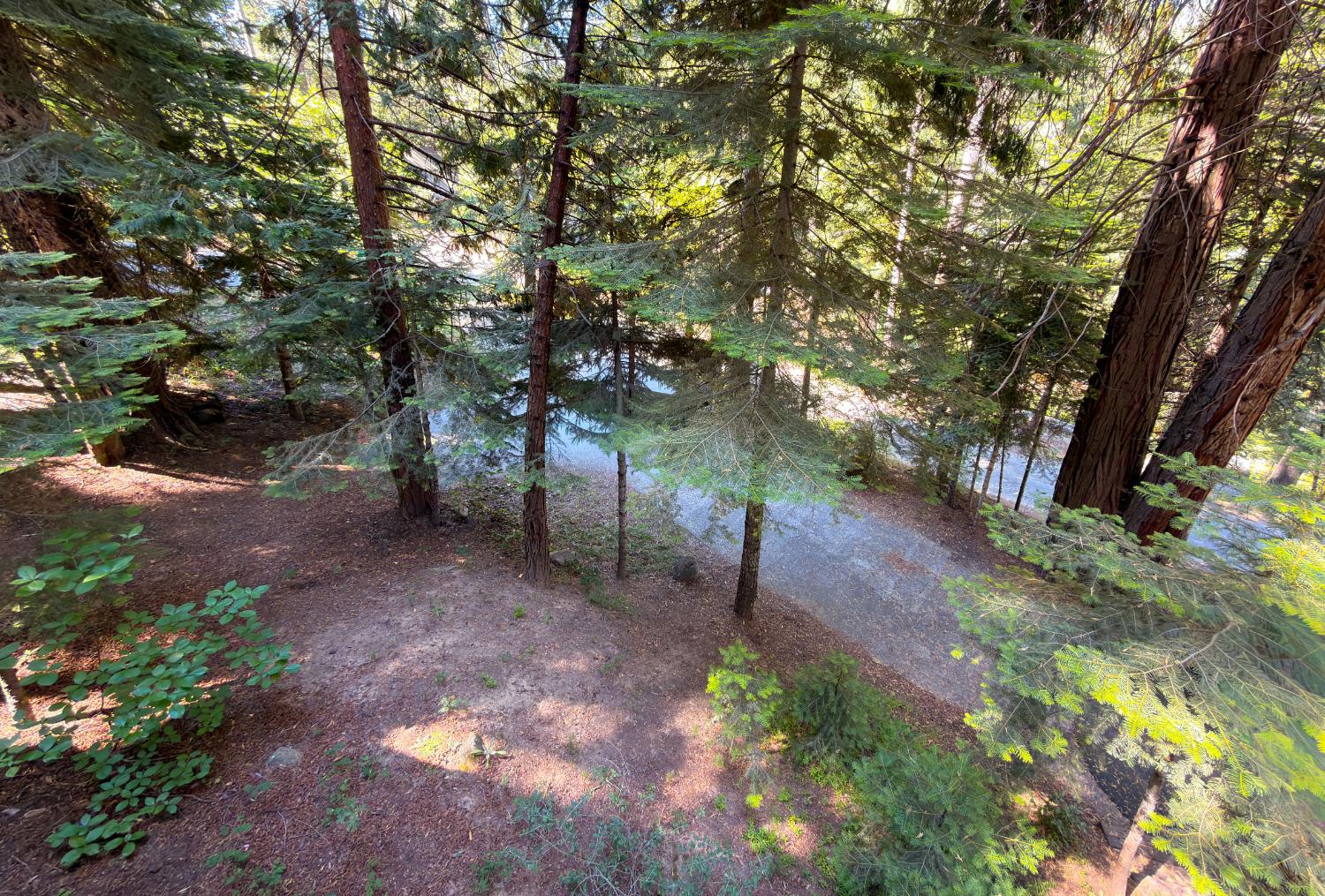 7771 WHITE CHIEF MOUNTAIN, Fish Camp, CA 93623