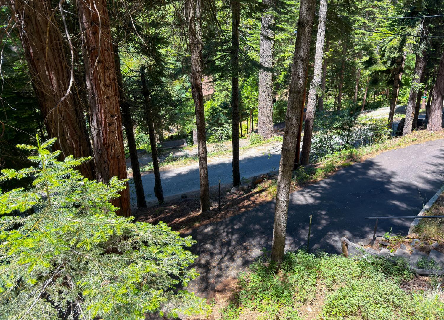 7771 WHITE CHIEF MOUNTAIN, Fish Camp, CA 93623