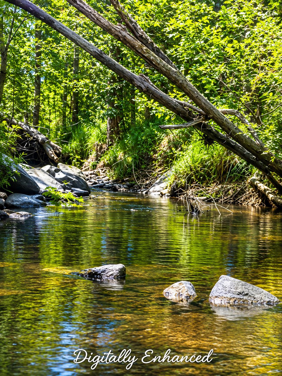32633 Road 222, North Fork, CA 93643