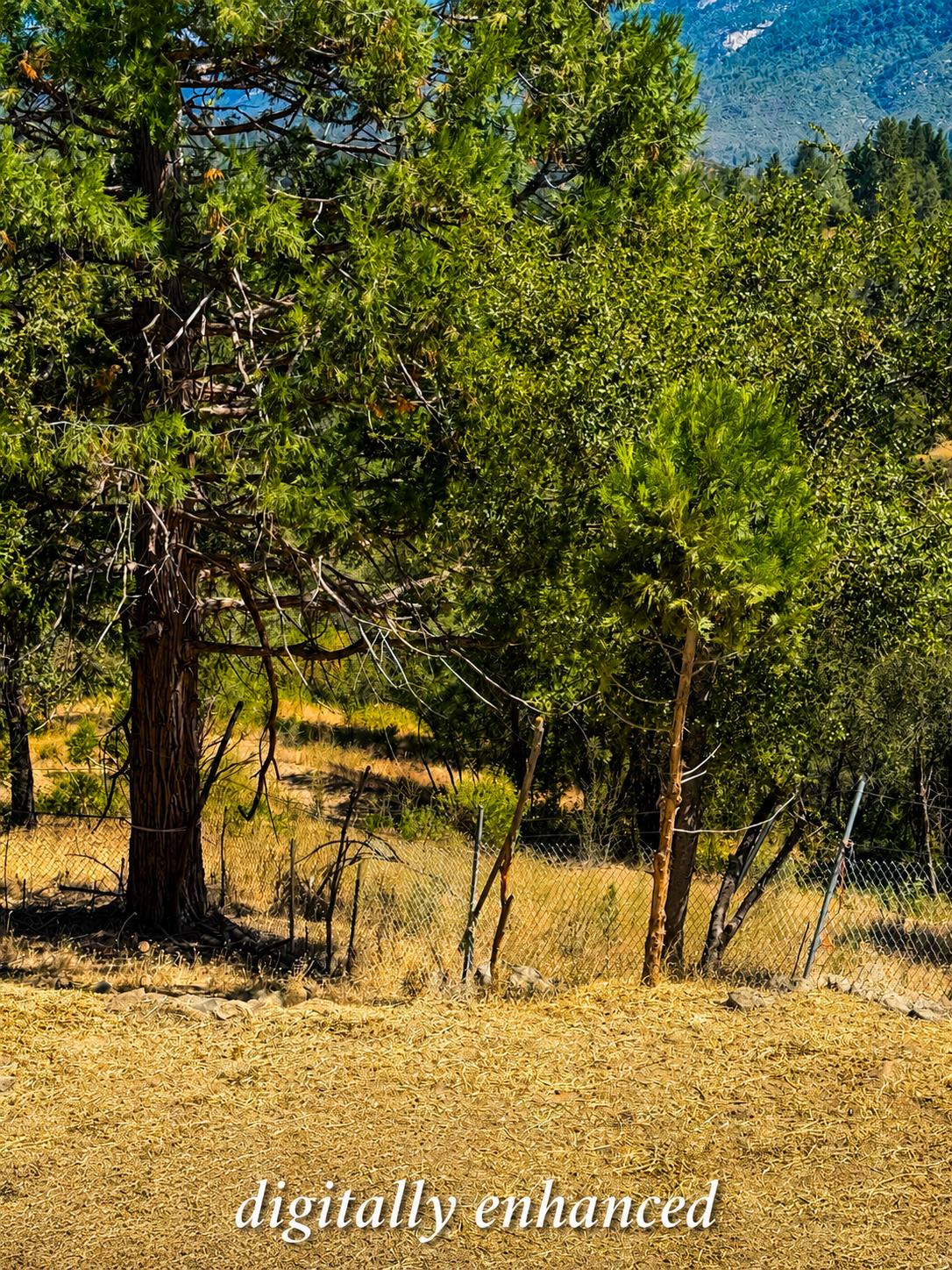 32633 Road 222, North Fork, CA 93643
