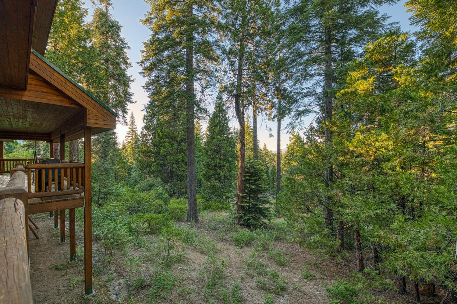 41931 Granite Ridge Rd, Shaver Lake, CA 93664
