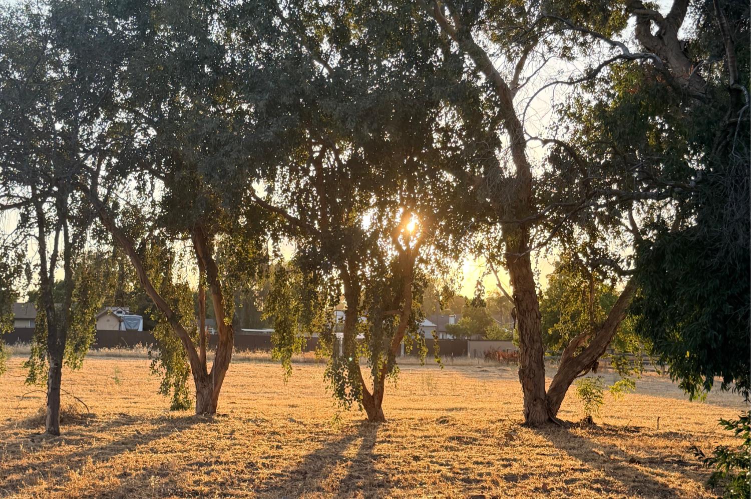 8737 N Madsen Ave, Clovis, CA 93619
